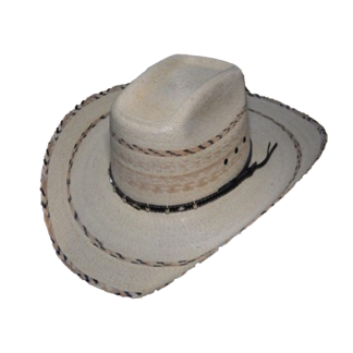 8 Segundos Palma