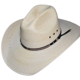 Gavilán