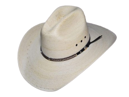 Gavilán